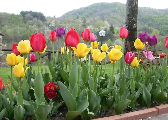 דירה Il Caniccio Borgo Isora *