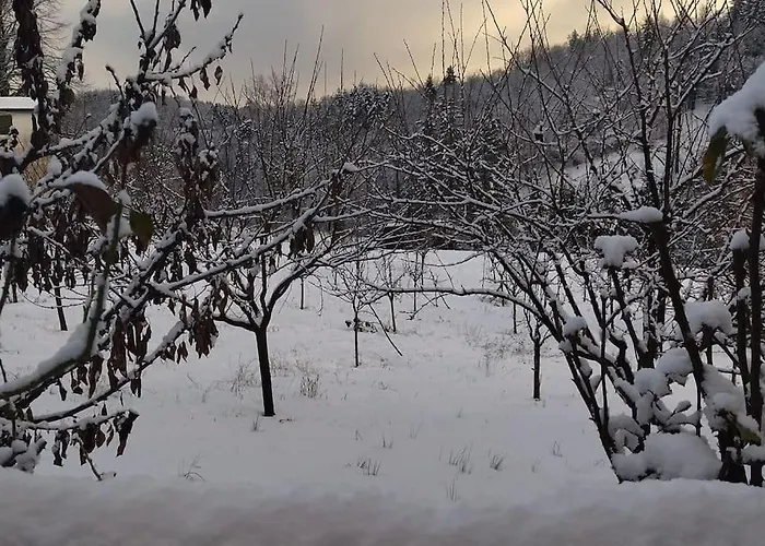 Il Caniccio Borgo Isora פיסטויה